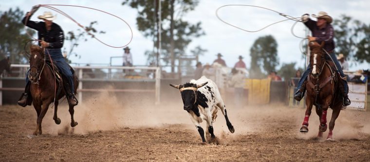 Two cowboys try to lasso a bull at a rodeo