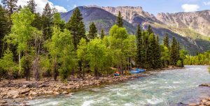 River in Colorado with tall trees on its bank and mountains in the distance