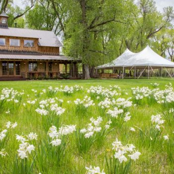 a wedding event venue with wildflowers and large tent